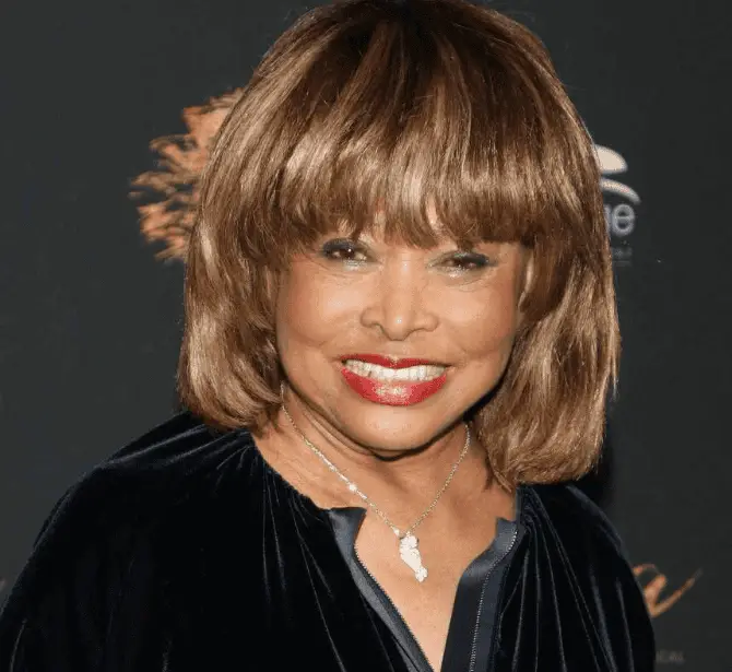 Tina Turner - Singer