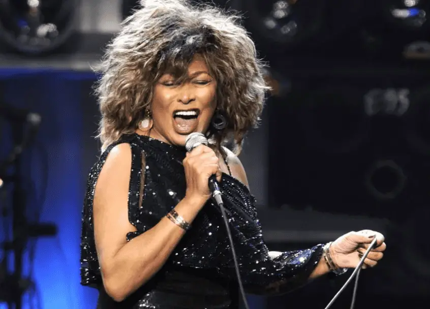 Tina Turner - Singer